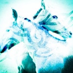 wild horses - song by carrion | Spotify wild horses