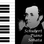 Schubert: Piano Sonata No.18 in G Major Op.78 D.894 1.Molto Moderato E Cantabile (슈베르트: 피아노 소나타 18번 사장조... 