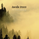 The Forest Waking Up - song and lyrics by Taeda Trees | Spotify The Forest Waking Up