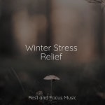 Lucid Dreaming - song by Ambient Forest, Relaxing Sleep Music, Relaxamento | Spotify Lucid Dreaming