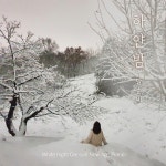 White night - Album by 달순씨 | Spotify White night