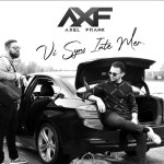 Vi Syns Inte Mer - song and lyrics by Axel Frank | Spotify Vi Syns Inte Mer