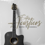 Éxitos Acústicos - Single by Sueño De Hormiga | Spotify Éxitos Acústicos
