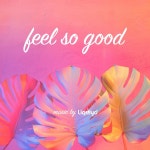 Feel So Good - song and lyrics by LiQWYD | Spotify Feel So Good