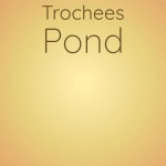 Mesa Rein - song and lyrics by Jarno Deth | Spotify Mesa Rein