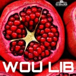 WOU LIB - Single by SAÏK | Spotify WOU LIB