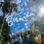 Лето прощай | Spotify Лето прощай