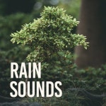 Rain Sounds - Album by Rain Sounds | Spotify Rain Sounds