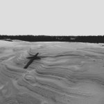 Sorte vinge (Remastered) - Single by Søren Emming | Spotify Sorte vinge (Remastered)