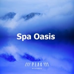 Spa Oasis - Album by Wellness Spa Music Oasis | Spotify Spa Oasis