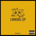 Linking Up - song by MadFish | Spotify Linking Up