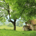 Sin Derechos De Autor - song and lyrics by Marino Zarzuelo | Spotify Sin Derechos De Autor