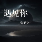 山水无涯 - song and lyrics by 张君之 | Spotify 山水无涯