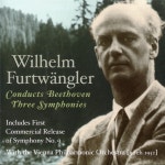 Sinfonie Nr. 9 d-Moll, Op. 125: 4. Finale: Presto - Allegro assai (Uhrwerk Orange): IV. Presto - Allegro ma non troppo - Vivace... 