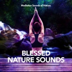 Blessed Nature Sounds - Album by Mediation Sounds of Nature | Spotify Blessed Nature Sounds