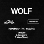 Remember That Feeling - EP by Frits Wentink | Spotify Remember That Feeling