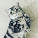 Love You to Expect - Single by DYNOMIC | Spotify Love You to Expect