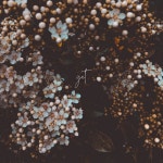 Yet - Single by Hillside Recording | Spotify