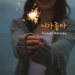 니가 좋아 - Single by Lee Soo Jin | Spotify