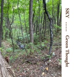 Green Thought - Album by Sky | Spotify Green Thought