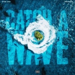 Catch A Wave - song and lyrics by CYD Jah, ffawty | Spotify Catch A Wave