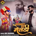 Celebrity By Meldi (Jashoda Nagar Ni Meldi) - Single by Anil Bharwad | Spotify Celebrity By Meldi (Jashoda Nagar Ni Meldi)