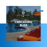 ! ! ! ! ! ! ! ! Cascading Bliss Beats ! ! ! ! ! ! ! ! - Album by Chillout Lounge Bar Music Buddha | Spotify... 