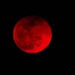 Red moon - Single by S!r Nelly | Spotify