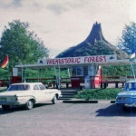 Basic Ways - song and lyrics by Prehistoric Forest | Spotify Basic Ways