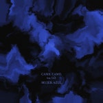 Mujer Azul - song and lyrics by Camil Camil, I.O. | Spotify Mujer Azul