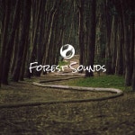 Nature Walk - EP by Forest Sounds | Spotify