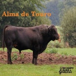 Alma de Touro - song and lyrics by De Campo Alma e Galpão | Spotify Alma de Touro