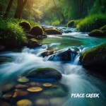 Peace Creek - Single by Sons da Natureza | Spotify Peace Creek