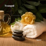 Tranquil Asana: Ambient Spa Sounds - Album by Thai Massage Music | Spotify Tranquil Asana: Ambient Spa Sounds