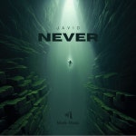 Never - Single by Javid | Spotify Never
