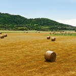 Battseqai - song and lyrics by Green Needle | Spotify Battseqai