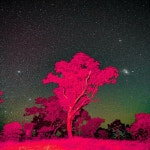 The Worlds Going Crazy - song and lyrics by Young Lions | Spotify The Worlds Going Crazy