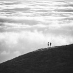 The last greeting - Single by Stefano DAmico | Spotify The last greeting