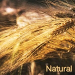 Muchacha Hotel - song and lyrics by Genoveva Cortes | Spotify Muchacha Hotel