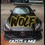 Wolf (Crisis x Arz) - song by Crisisbeatzz | Spotify Wolf (Crisis x Arz)