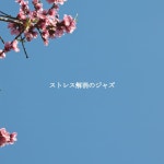 ストレス解消のジャズ - Album by Afternoon Chill Out | Spotify ストレス解消のジャズ