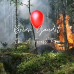 Im A Forest Fire - Single by Brian Gaudet | Spotify Im A Forest Fire