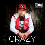 Crazy - Single by Twizzytwitch | Spotify Crazy