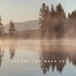 Before You Wake Up - song and lyrics by Erik Fernholm | Spotify Before You Wake Up
