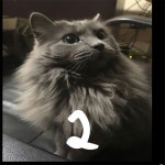 House 2 - Single by The Houser | Spotify House 2