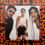 Cest la vie - Single by Holy Molly | Spotify