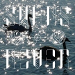 Two Swans - Single by Swans of Never | Spotify Two Swans