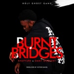 Burnt bridge - Single by Rhapture | Spotify Burnt bridge