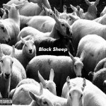 Black Sheep - song and lyrics by Kid Dre | Spotify Black Sheep