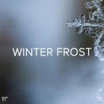 !!!Winter Frost!!! - Album by Deep Sleep, Sleep Sound Library, BodyHI | Spotify !!!Winter Frost!!!